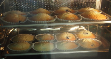 372-199_maffins.jpg 372-199_maffins.jpg